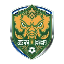 西雙版納隊首發陣容