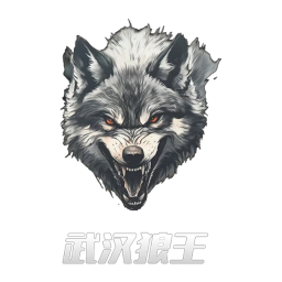 武漢狼王首發陣容