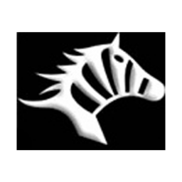 武漢斑馬首發陣容