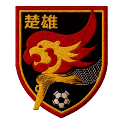 楚雄隊首發陣容